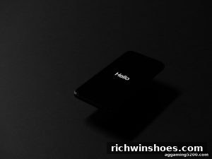 AG真人 richwinshoes