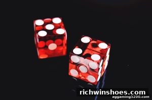 AG真人 richwinshoes
